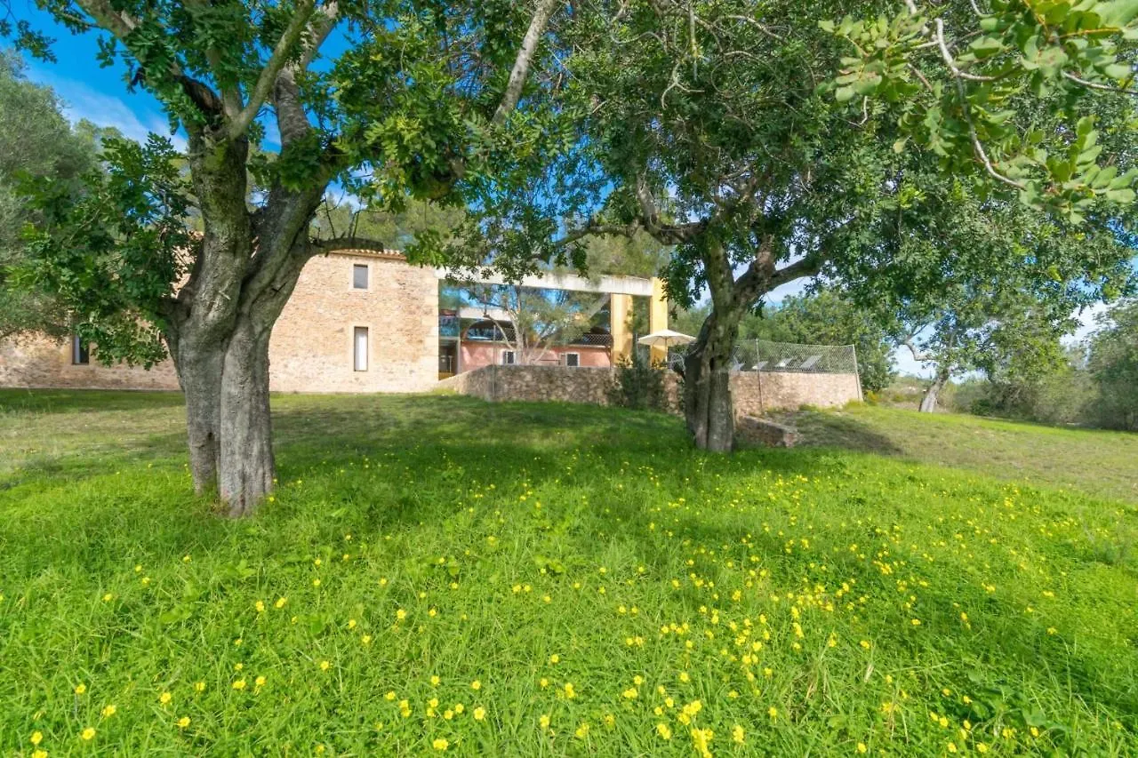 Villa Viterbo Son Servera  Spanien